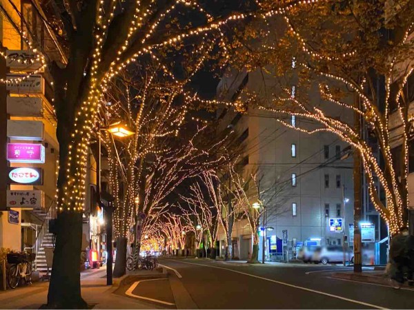 絶賛開催中 新潟市冬の風物詩 けやき通り で開催中の 光のページェント 見てきた にいがた通信 新潟県新潟市の地域情報サイト