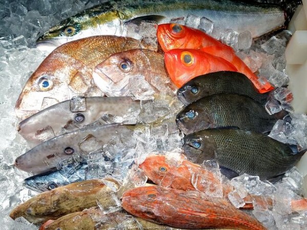 大漁市場やマグロ解体ショーも！恒例のお祭りがパワーアップ！西区
