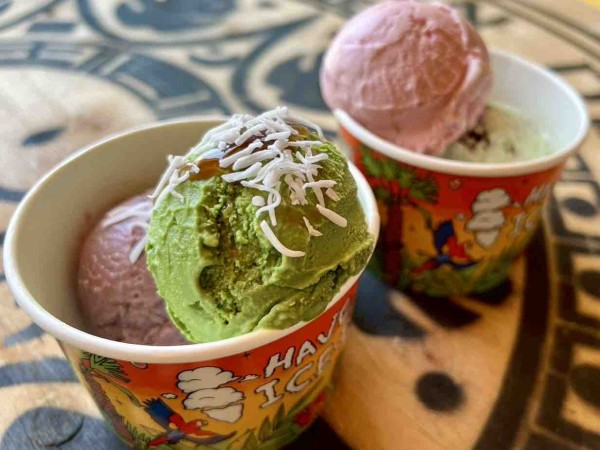 江南区長潟『IRIE Garden conceptshop ROOTS』内に『Hi7's ICECREAM