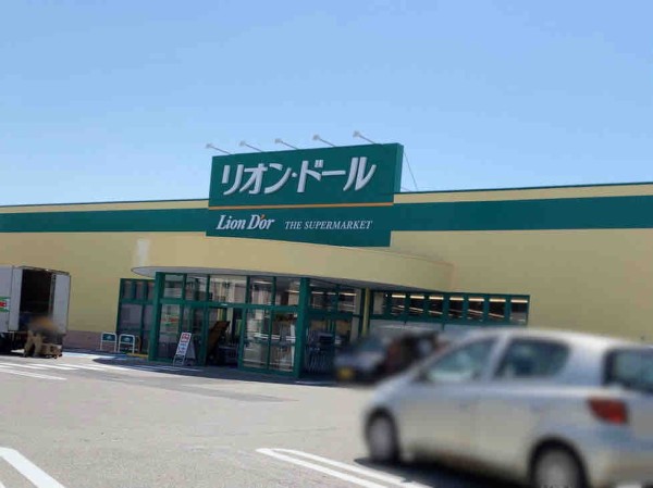 いよいよ明日オープン 西区寺尾東にスーパーマーケット リオン ドール 寺尾東店 Lion D Or が5月19日オープン にいがた通信 新潟県新潟市の地域情報サイト