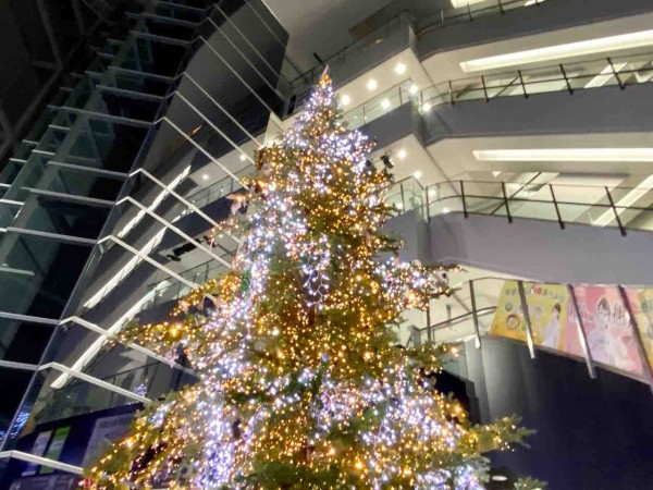 NEXT21』に『クリスマスツリー』展示！11月23日～12月25日