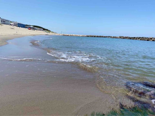 中央区の魅力は水辺 中央区の 水 をテーマにしたフォトコンテスト 水辺のまち中央区 フォトコンテスト 開催 6月1日 30日まで にいがた通信 新潟県新潟市の地域情報サイト