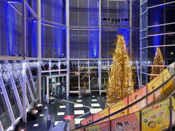 今年も登場！『NEXT21』に『巨大クリスマスツリー』設置！夜のライト
