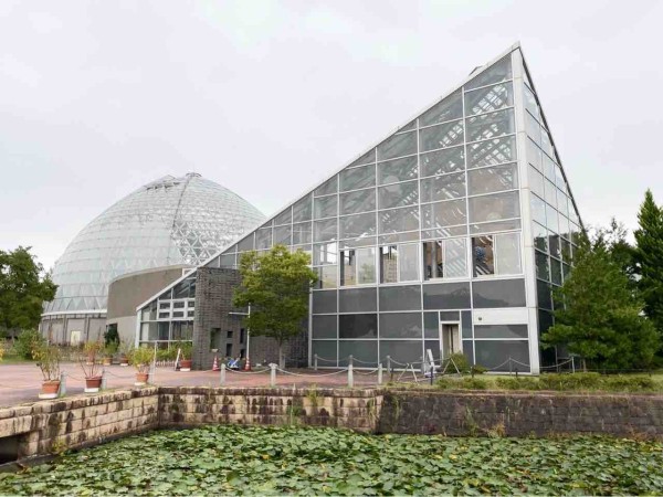 植物園でチョコレート 新潟県立植物園 で企画展示 人と植物のかかわり チョコレート 開催 10月13日 11月23日 にいがた通信 新潟県 新潟市の地域情報サイト