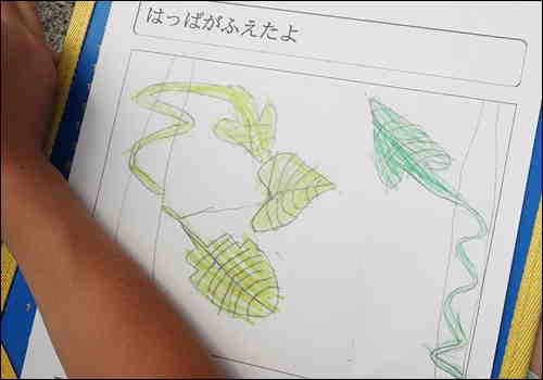 朝顔の観察 １年生 五日市小学校日記