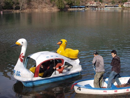 しびれこキャンプ ２ 湖のほとり あ やせいの も ち や
