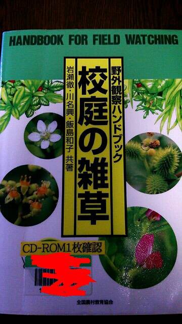 雑草観察 暇なし貧乏ツレヅレの日々