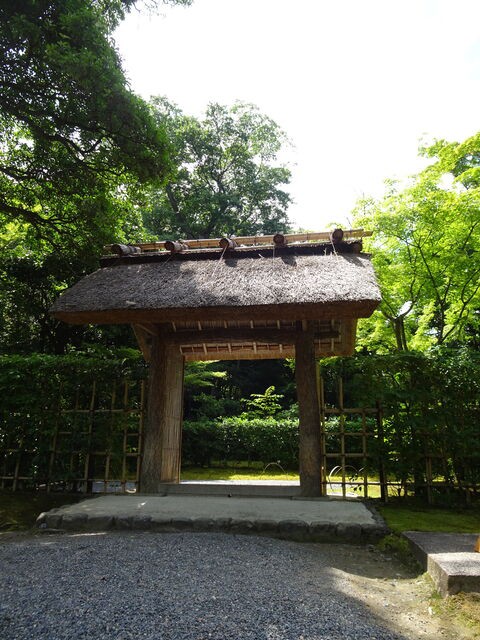 ホーム - 桂離宮