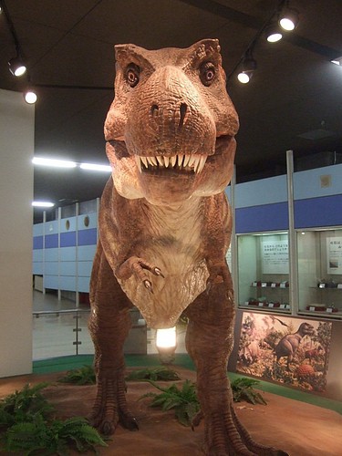 青少年科学センター 岩 崎 建 築 研 究 室 日 誌