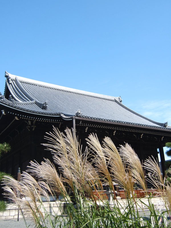 お茶のお稽古 : 岩 崎 建 築 研 究 室 ・ 日 誌