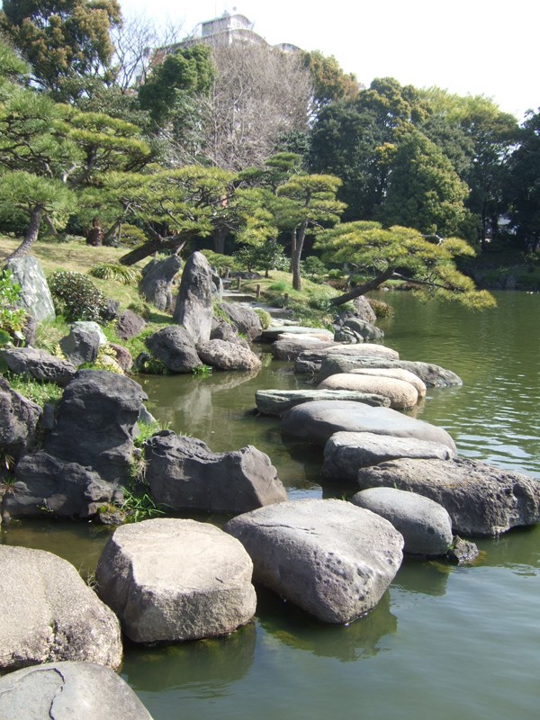 清澄公園 岩 崎 建 築 研 究 室 日 誌