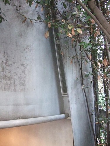 建築のエッセンス 斎藤裕著 Amazon.co.jp: 建築のエッセンス : 斎藤 裕, 二川 幸夫: 本