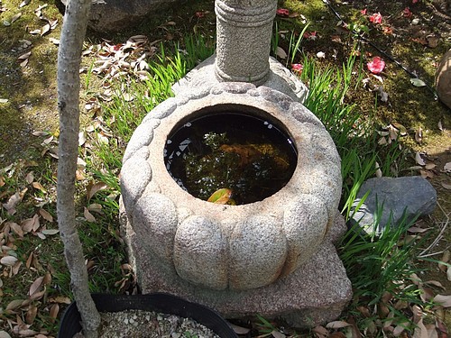 手水鉢 : 岩 崎 建 築 研 究 室 ・ 日 誌