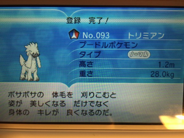 ポケモン Xy トリミアン 追い込み