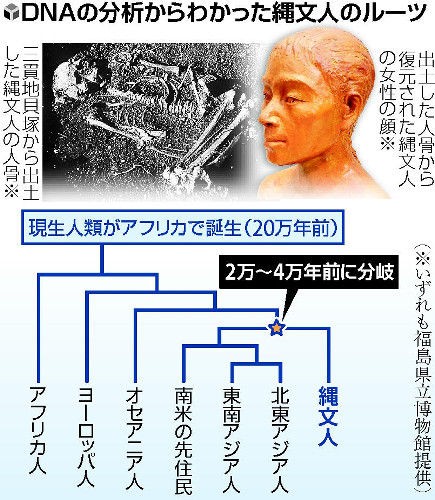 科学 出雲と東北類似 下戸遺伝子の持ち主は中国南部と日本に集中 中国南部は稲作発祥の地 日本人のルーツ探る 嫌になるニュース