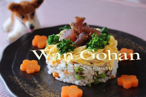 犬ごはん かつおのちらし寿司 犬ごはん 猫ごはん もふもふ日和
