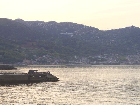 伊豆の釣りポイント 熱海市 網代港 伊豆移住生活 マンションで田舎暮らし