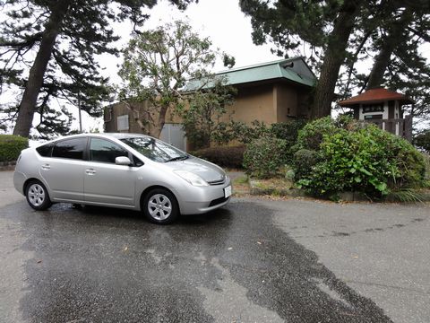 伊豆の釣り場案内 稲取 黒根崎 伊豆移住生活 マンションで田舎暮らし