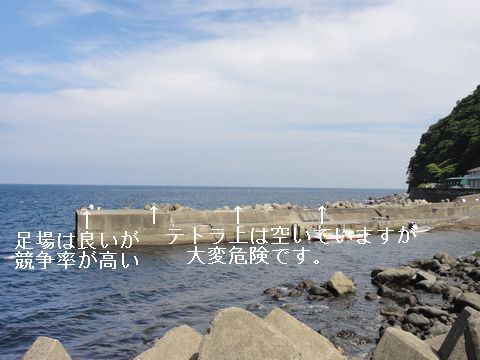 伊豆の釣り場案内 北川港 伊豆移住生活 マンションで田舎暮らし