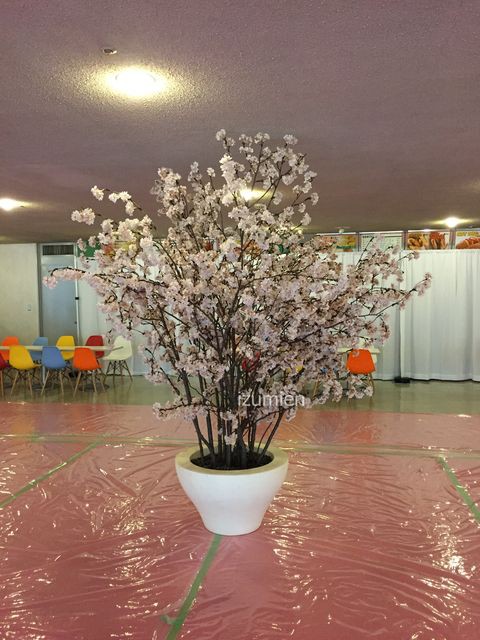 桜装飾 イベント会場にて桜装飾 いずみえん