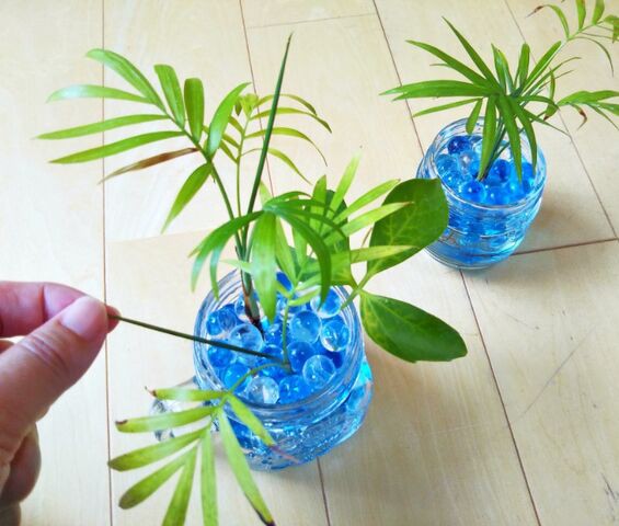 観葉植物 ジェルポリマーのお手入れをしました 出来たをさがそ