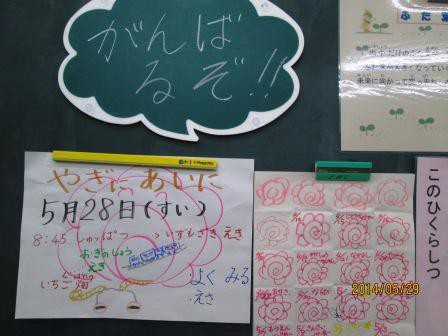花まる貯金 出雲崎小学校 出小日記