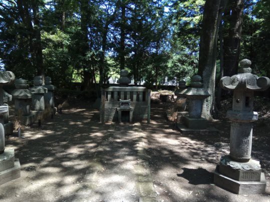 真宗高田派本山 専修寺 お七夜 報恩講 3 真宗雑感 真宗高田派本山 専修寺 お七夜 報恩講 3 真宗雑感