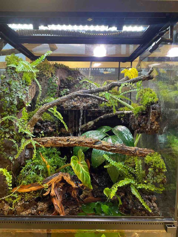 横須賀店バージョンアップ！！】 : 爬虫類クラブJ 横須賀店ブログ