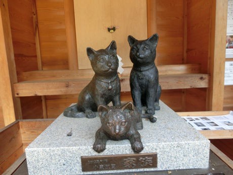 猫神社 ねこだいすき