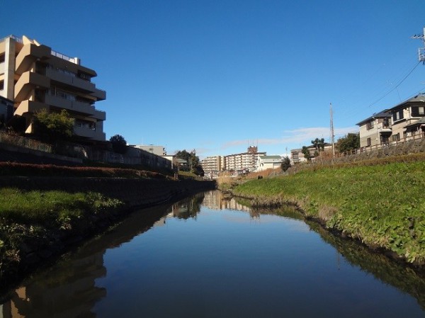 芝川（埼玉県）の源流を求めて遡る。 その１ : 活動してないギタリストの旅