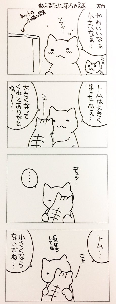 ねこまたになっちゃえよ Jamさんちのマンガいろいろ