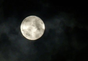 月に叢雲 花に風 小人閑居してあれこれもがく