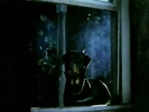地獄の犬 ロトワイラー ホラー映画を語る ジャンのブログ