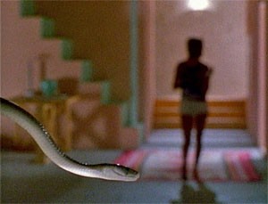 フェア ゲーム 毒蛇マンバ ホラー映画を語る ジャンのブログ