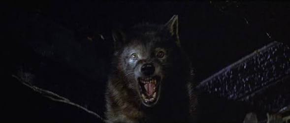 ウルフェン ホラー映画を語る ジャンのブログ