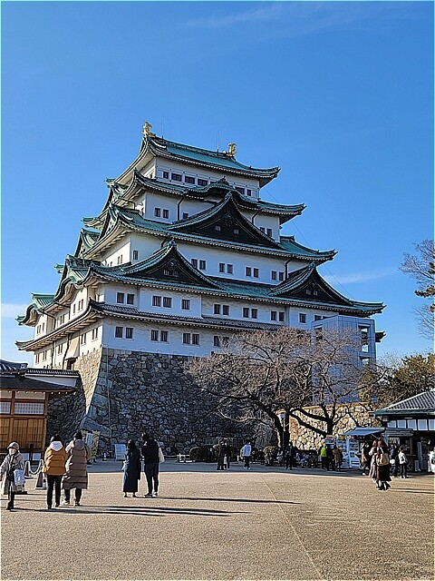 名古屋 城 人気 スーツ ケース