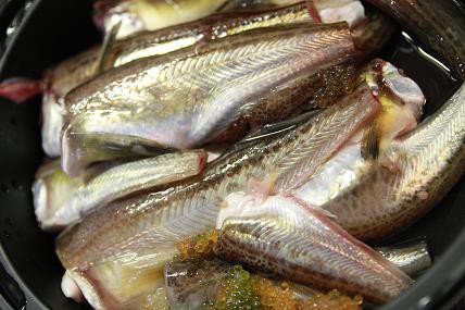 おすすめ 超簡単 はたはた汁 自分のお店を持ちたいと夢を抱く男