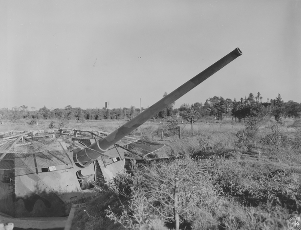 移動運用その306／杉並区都立高井戸公園POTA／JA-1929