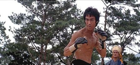 燃えよドラゴン ディレクターズカット版 燃えよ 映画論