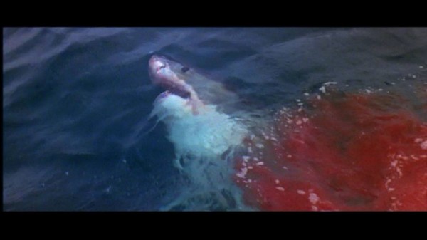 オルカ 白鯨 イルカの日 ジョーズ オルカ と 海洋最強伝説の頂点がこの映画だった 燃えよ 映画論