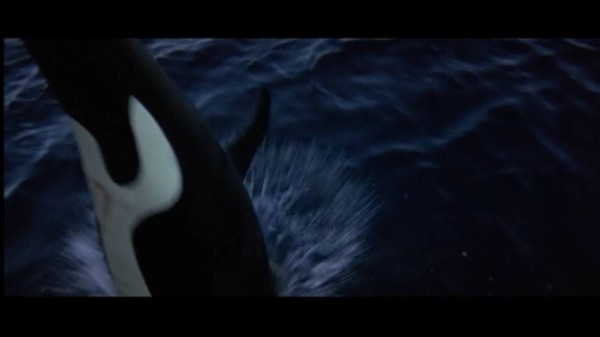 オルカ 白鯨 イルカの日 ジョーズ オルカ と 海洋最強伝説の頂点がこの映画だった 燃えよ 映画論