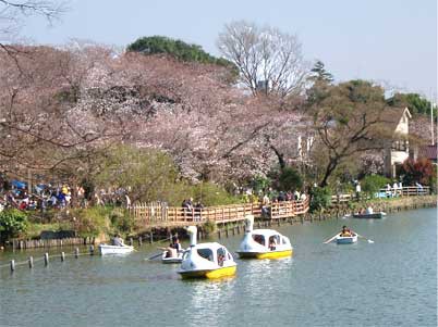 23区でスワンボートに乗れる場所 東京自転車生活