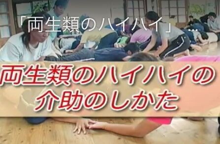 両生類のはいはい を指導する動画にみる疑問 じーゆーnews