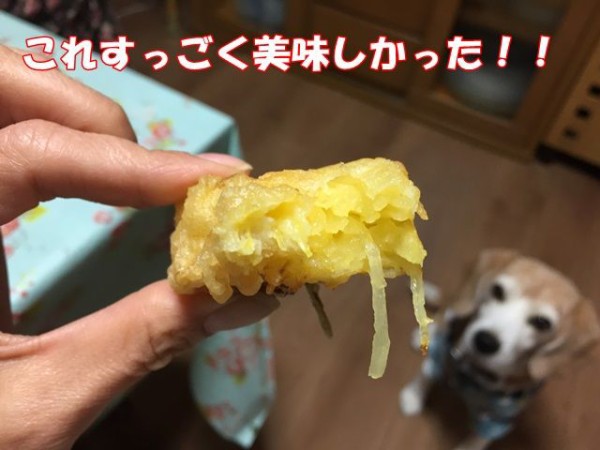 急に晩御飯をご馳走になった日 ガオだらけな日々