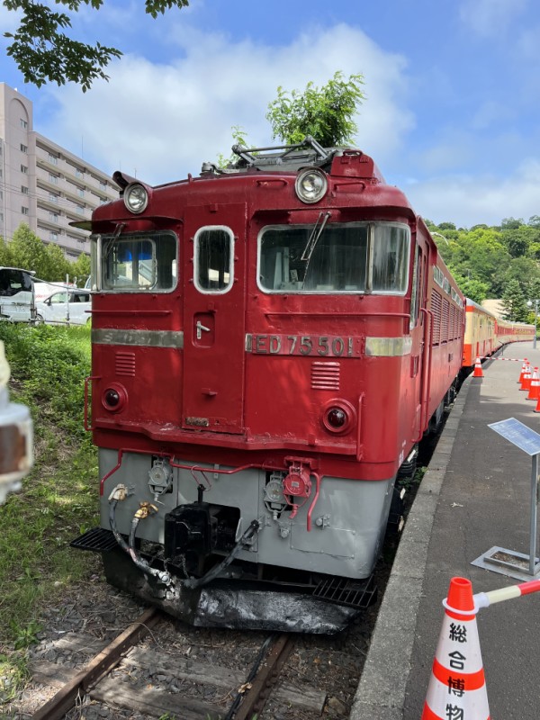 電気機関車【 ED75 - 501 】 : 自遊嗜好