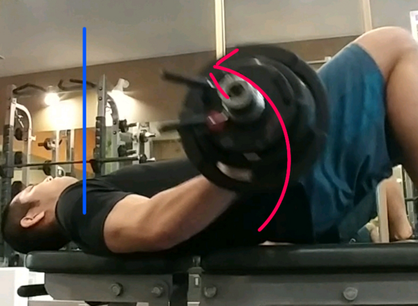 喉頭 証書 中で ダンベルプルオーバーエクステンション Jhha Jp