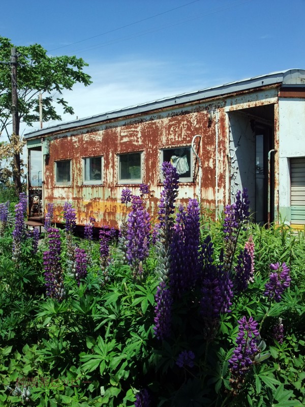 本中小屋駅と中小屋駅と 純喫茶ヒッピー 1980年から喫茶巡り Powered By ライブドアブログ