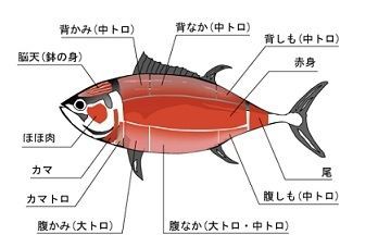 マグロ 和食は日本人の心
