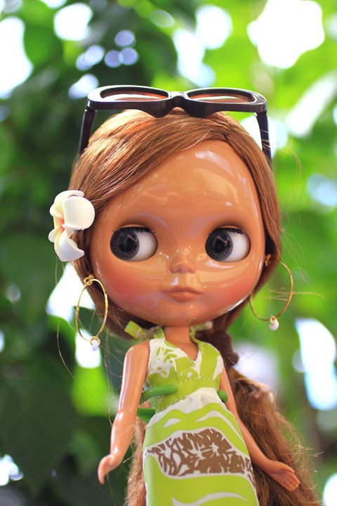 ロコガールがやってきた 一日 一ハワイ ハワイブログ