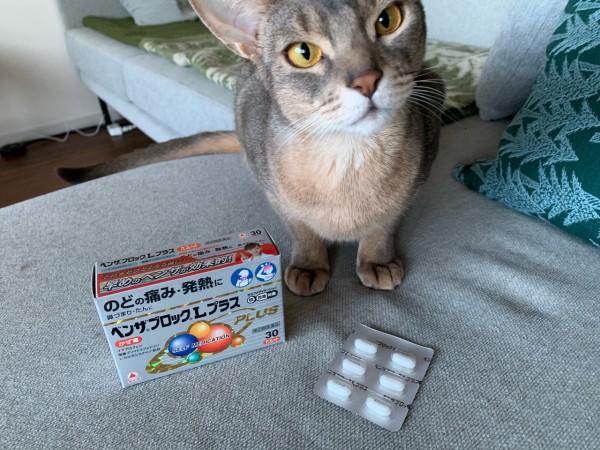 ベンザブロックlプラス さま おうちごはんとおかしとねこ Powered By ライブドアブログ